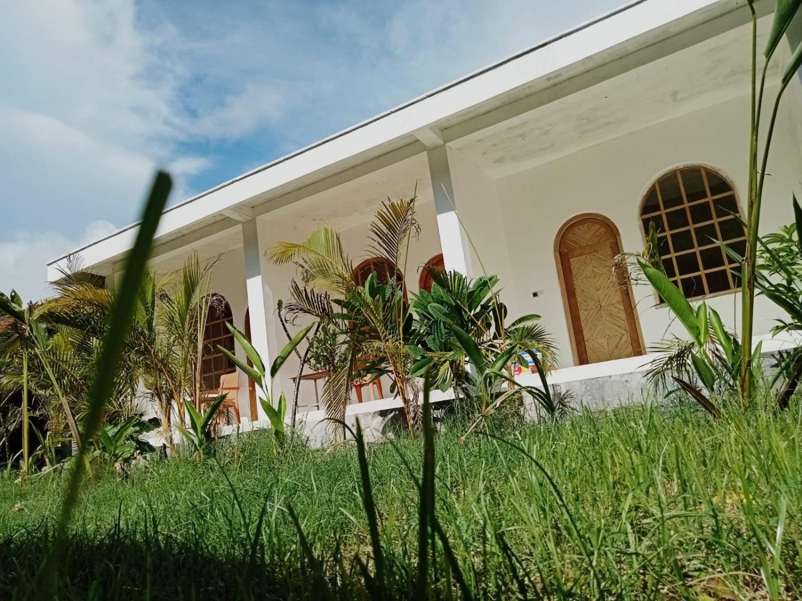Palmhouse Boutique Hotel Kuta  Ngoại thất bức ảnh